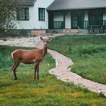 Koekenyhaz Vendeghaz * Kotcse