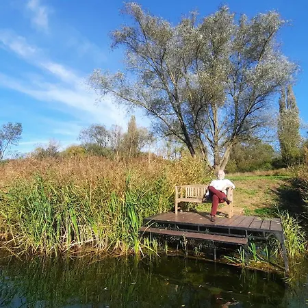 Koekenyhaz Vendeghaz *