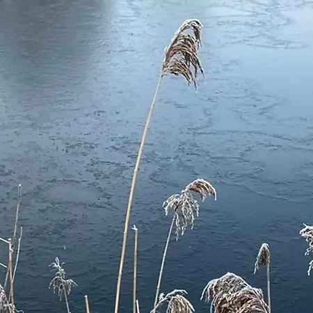 Koekenyhaz Vendeghaz Kotcse