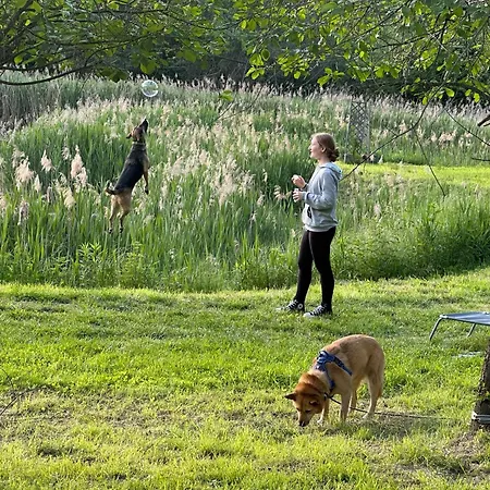 Koekenyhaz Vendeghaz דירה *