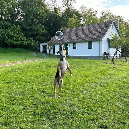 Koekenyhaz Vendeghaz Kotcse