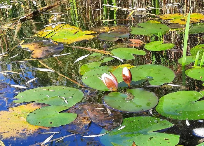 דירה Koekenyhaz Vendeghaz *