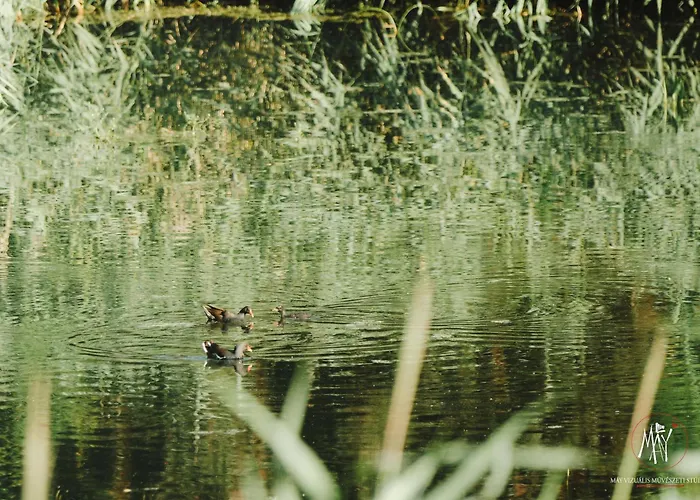 דירה Koekenyhaz Vendeghaz