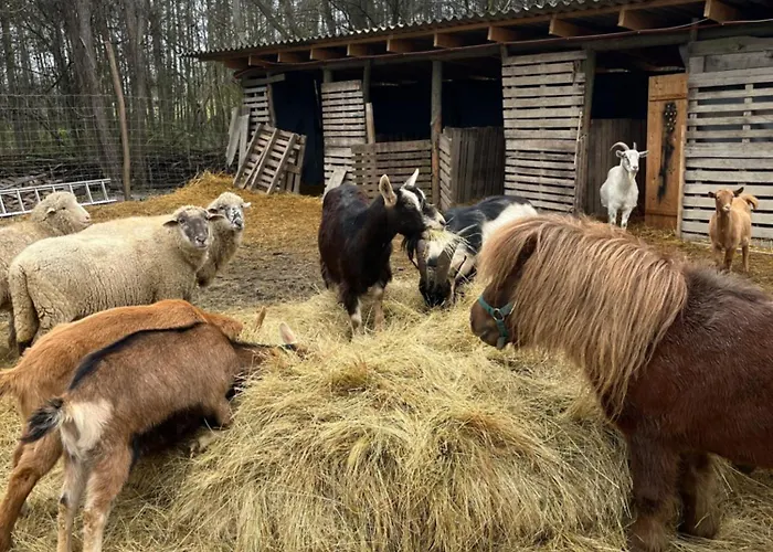 דירה Koekenyhaz Vendeghaz