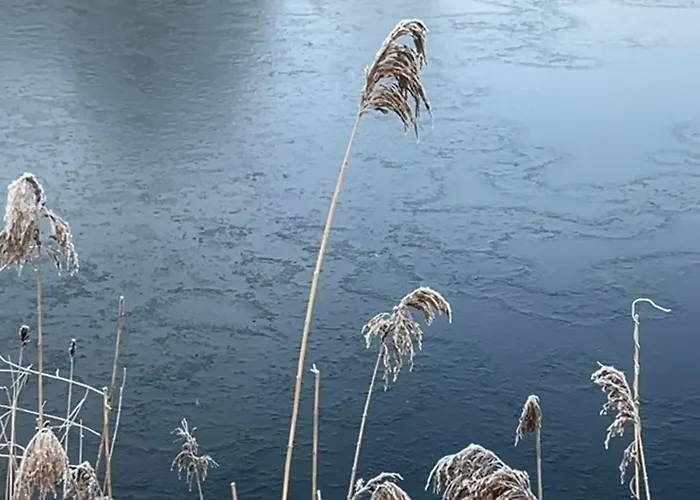 Koekenyhaz Vendeghaz Kotcse