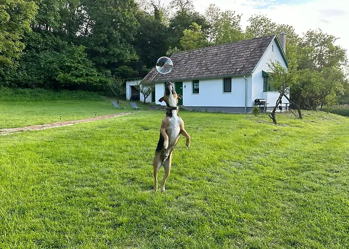 Koekenyhaz Vendeghaz Kotcse